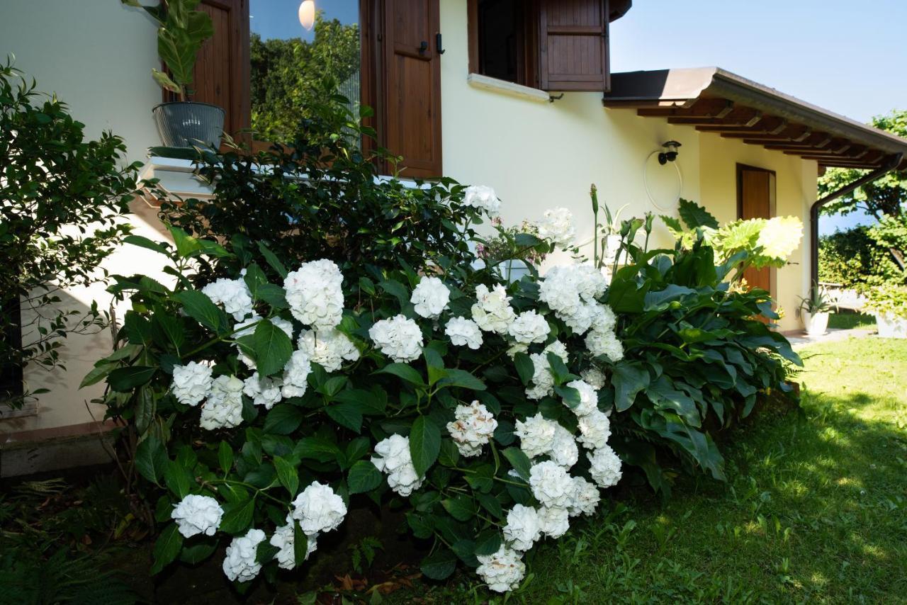 Alice Nel Paese Delle Meraviglie Gavardo Exterior photo